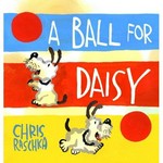 A ball for Daisy / Chris Raschka.