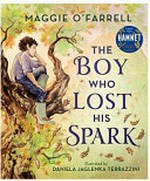 The boy who lost his spark / by Maggie O'Farrell ; illustrated by Daniela Jaglenka Terrazzini.