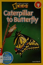 Caterpillar to butterfly / Laura Marsh.