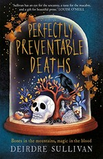 Perfectly preventable deaths / Deirdre Sullivan.
