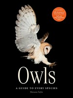 Owls : a guide to every species / Marianne Taylor.