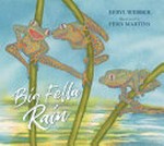 Big fella rain / Beryl Webber ; illustrated by Fern Martins.