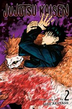 Jujutsu kaisen. fearsome womb / story and art by Gege Akutami ; translation, Stefan Koza ; touch-up & lettering Snir Aharon. 2