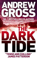 The dark tide: Ty hauck series, book 1. Andrew Gross.