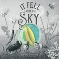 It fell from the sky / the Fan Brothers.