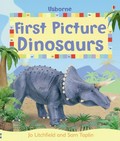 First picture dinosaurs / words by Sam Taplin ; models by Jo Litchfield ; designed and illustrated by Hanri van Wyk.