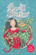 Lily the Forest Sister / Amber Castle ; illustrations by Mary Hall.