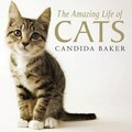The amazing life of cats / Candida Baker.