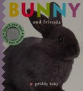 Bunny and friends / made by Aimée Chapman, Hannah Cockayne and Amy Oliver.