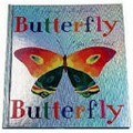 Butterfly, butterfly : a pop-up book of colour / Petr Horácek.